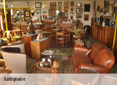 Antiquaire Marne 