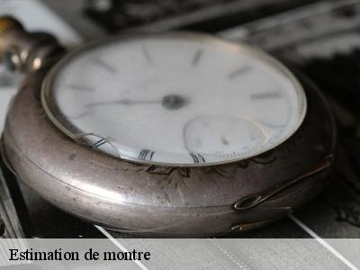 Estimation de montre Marne 