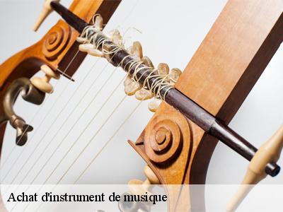 Achat d'instrument de musique Marne 