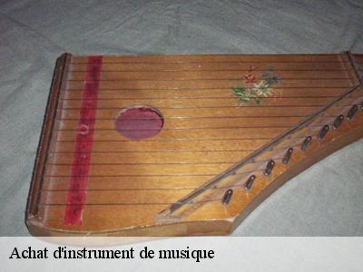 Achat d'instrument de musique Marne 