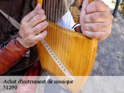 Achat d'instrument de musique  51290