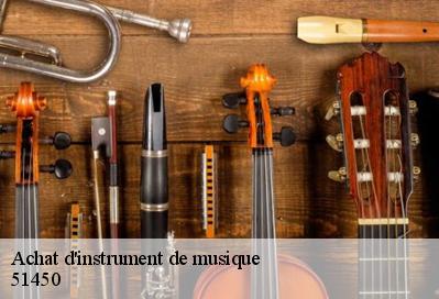 Achat d'instrument de musique  51450