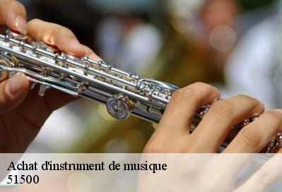 Achat d'instrument de musique  51500