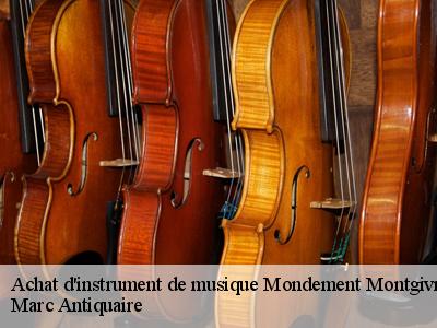 Achat d'instrument de musique  51120