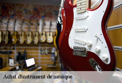 Achat d'instrument de musique  51600