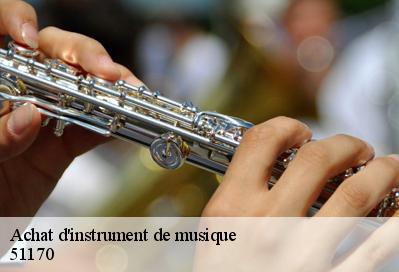 Achat d'instrument de musique  51170