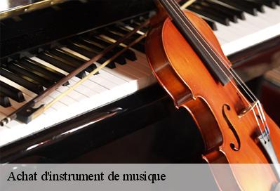 Achat d'instrument de musique  51320