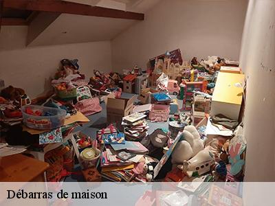 Débarras de maison  51220