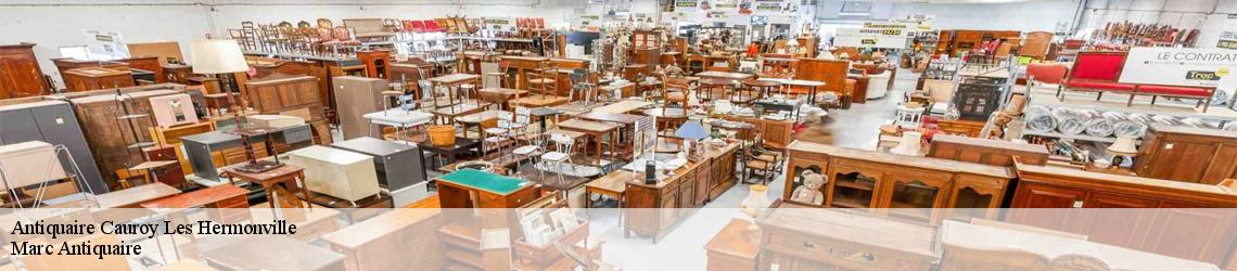 Antiquaire  cauroy-les-hermonville-51220 Mayer Antiquaire 51