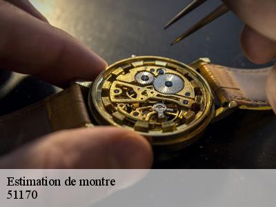 Estimation de montre  51170