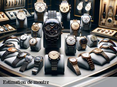 Estimation de montre  51400