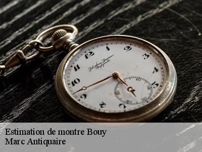 Estimation de montre  51400