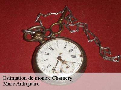 Estimation de montre  51500