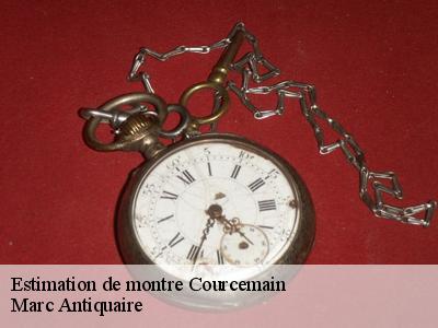 Estimation de montre  51260