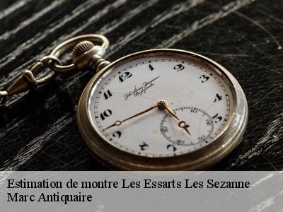 Estimation de montre  51120