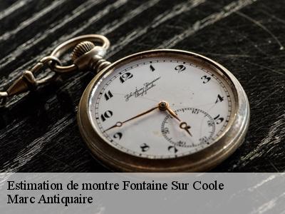 Estimation de montre  51320