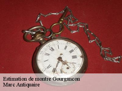 Estimation de montre  51230