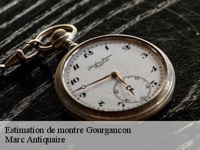 Estimation de montre  51230