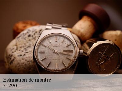 Estimation de montre  51290